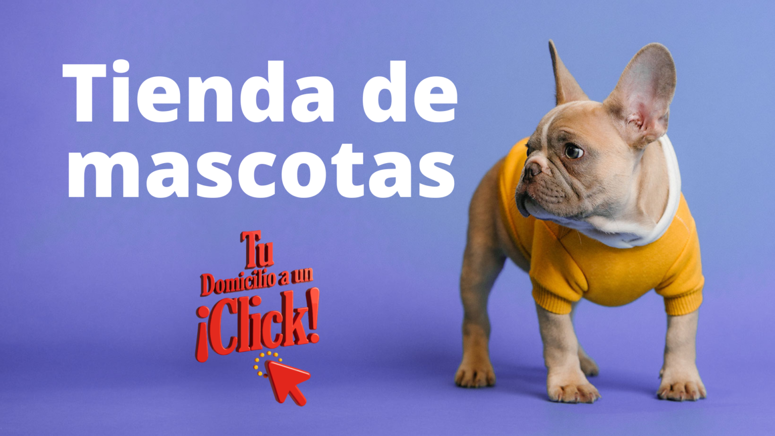 tienda de mascotas
